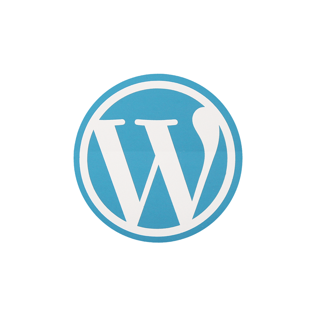 Wordpress web development and speed optimization